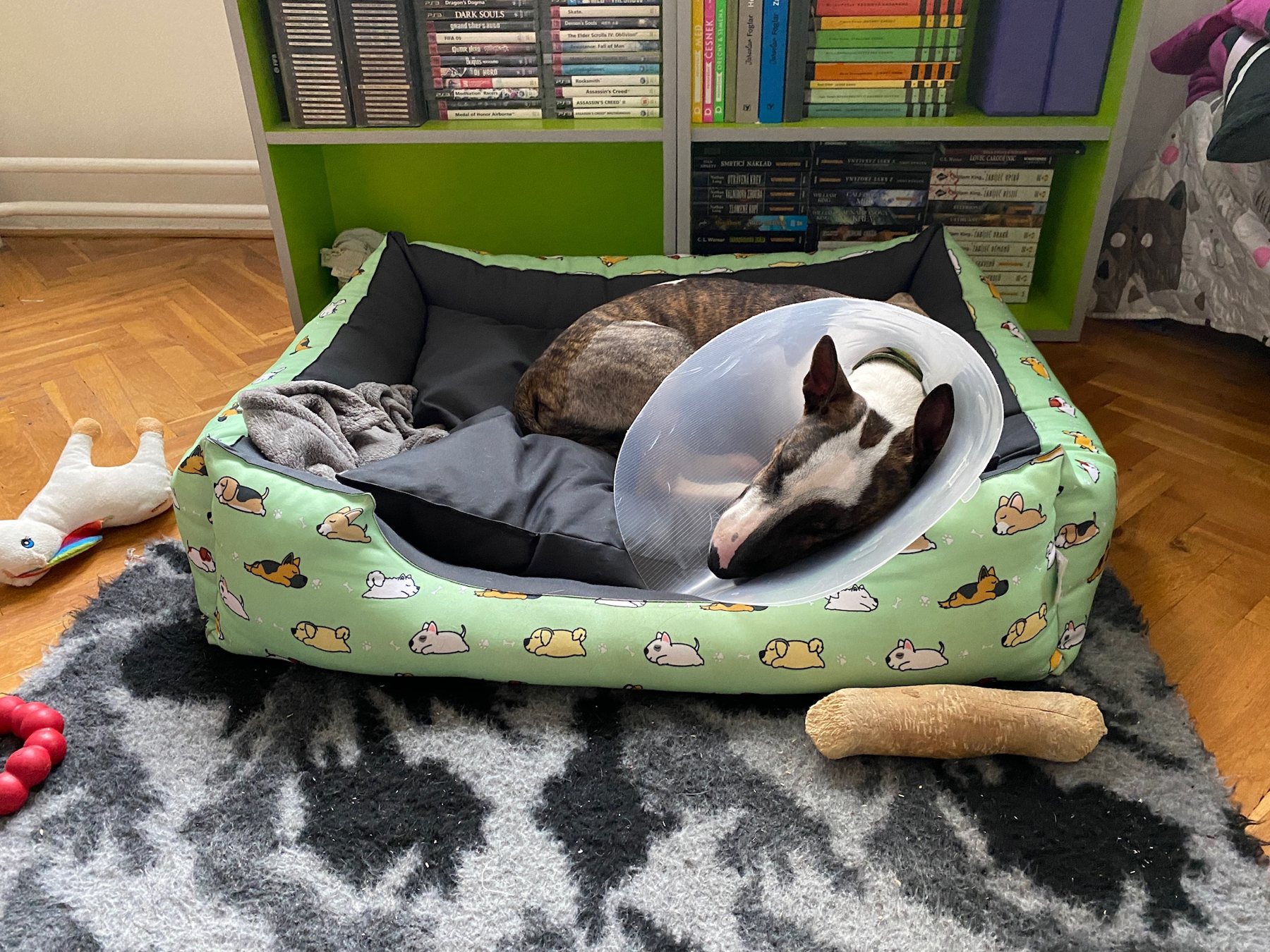 Recovery Bed