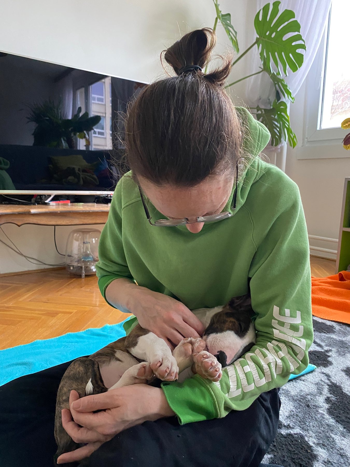 Cuddle custody
