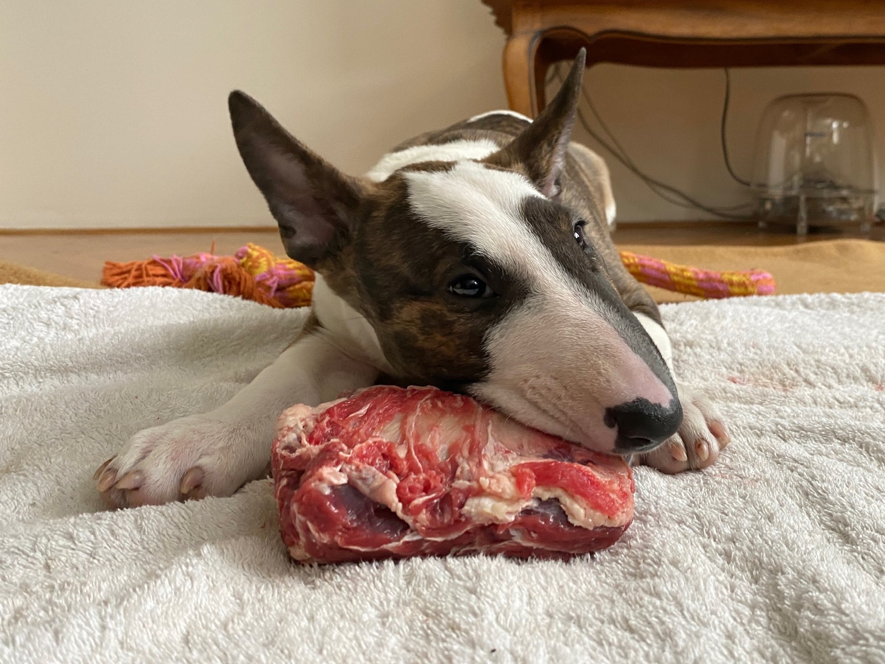 Raw instinct