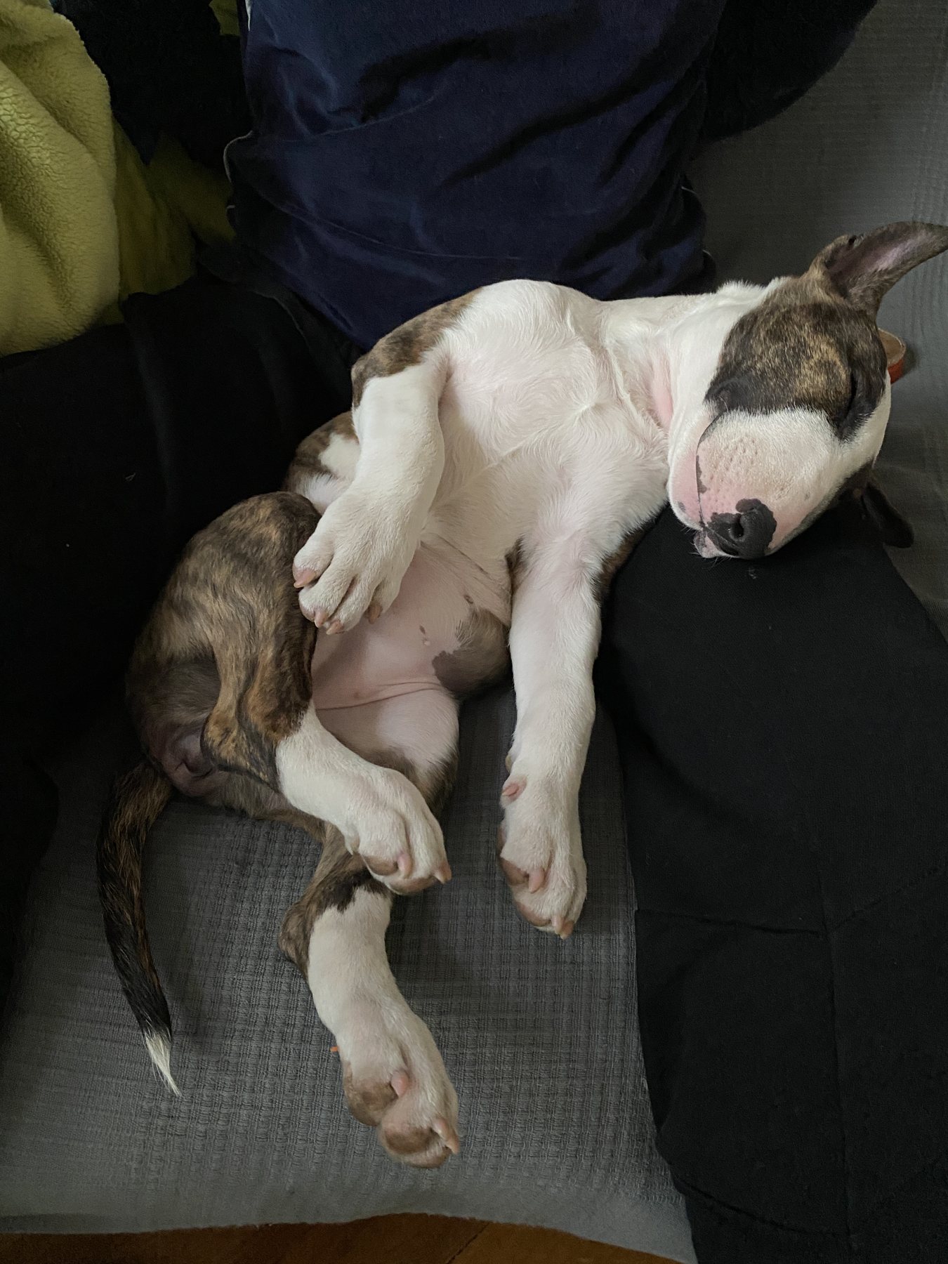 Sofa Mode: Fully Activated