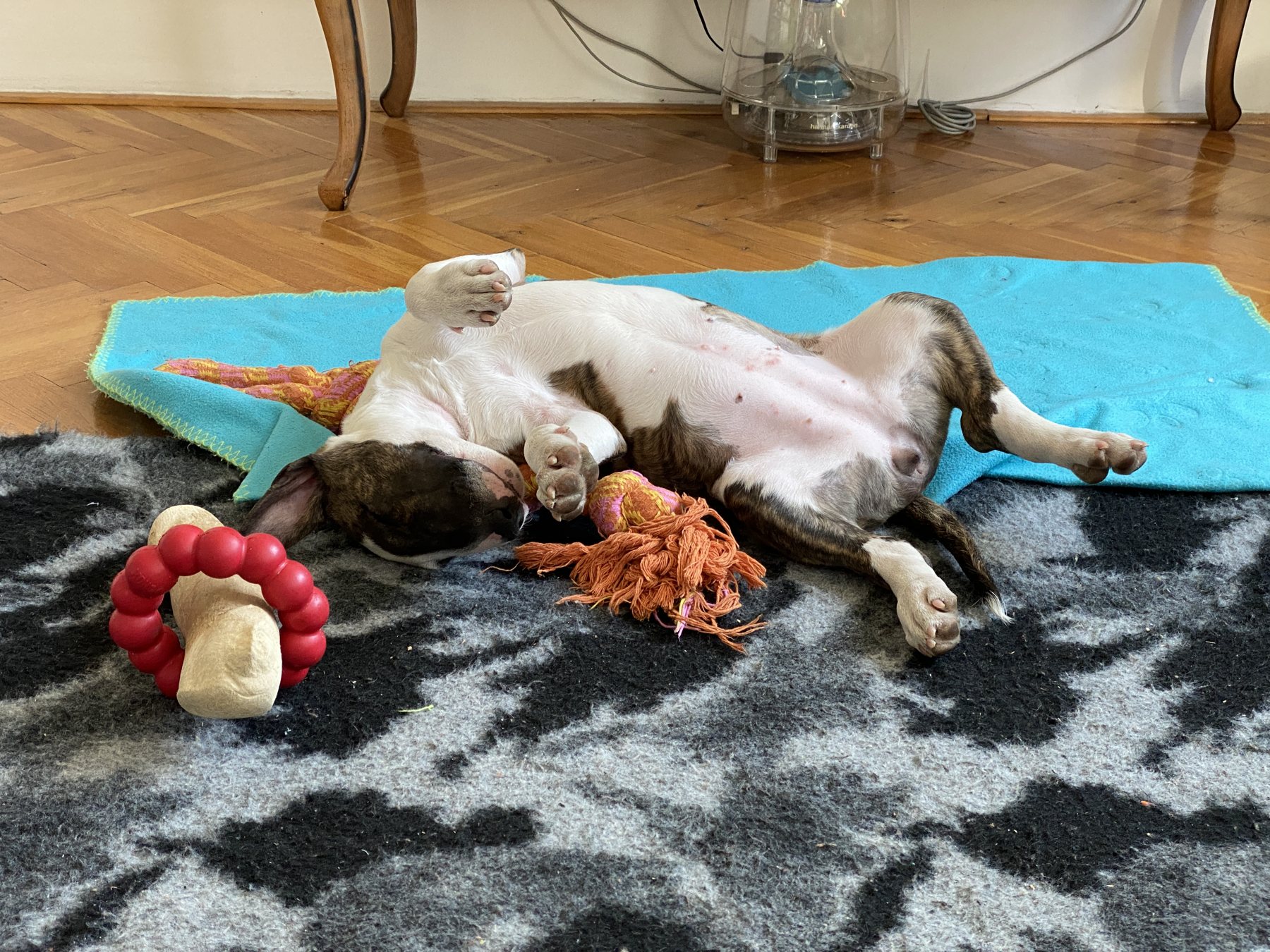 Toy Explosion Recovery Position