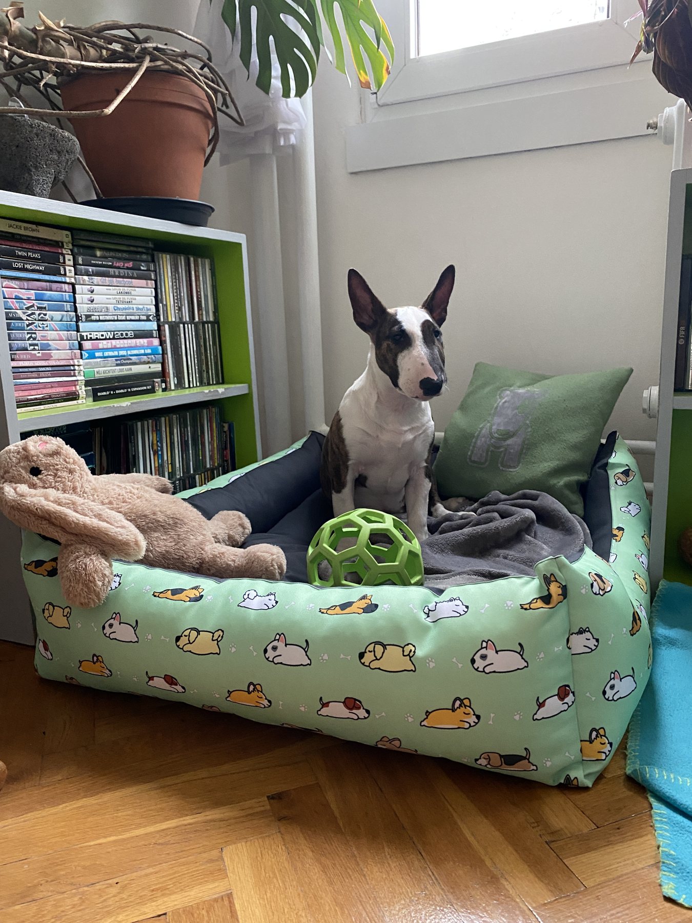 Queen of the Bed