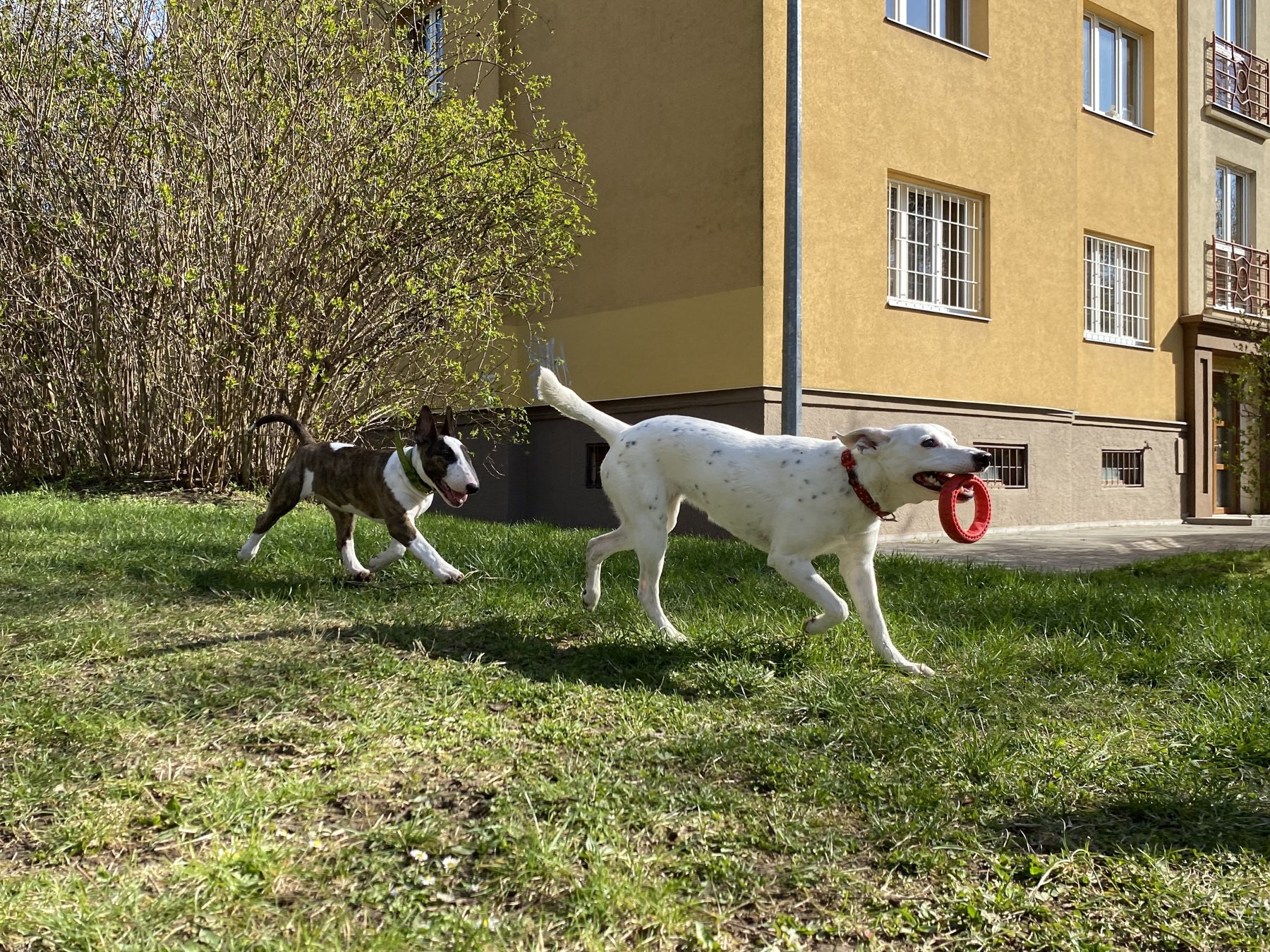 Stick Negotiations