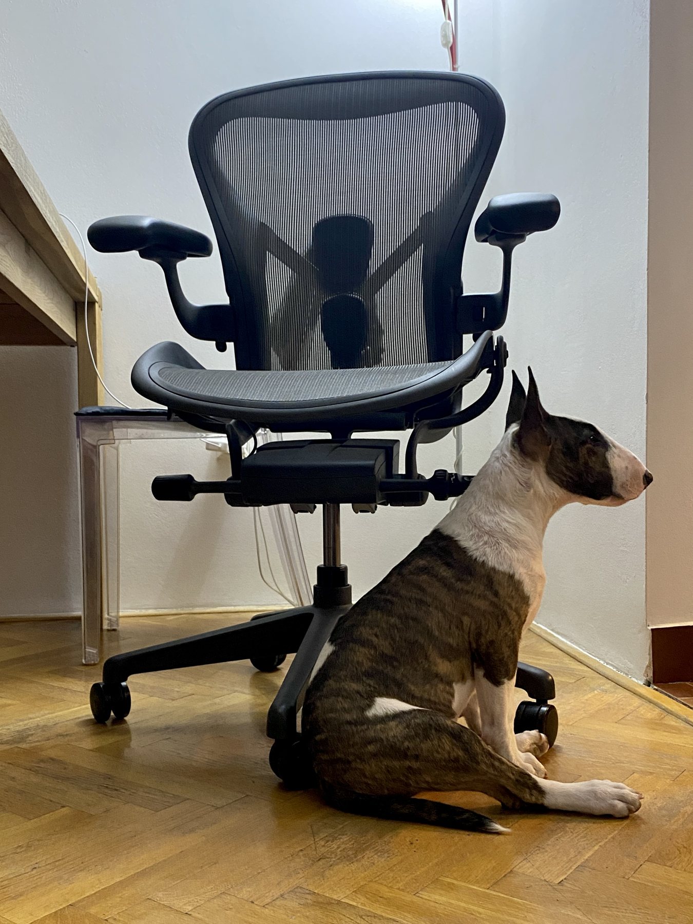 Office Supervisor