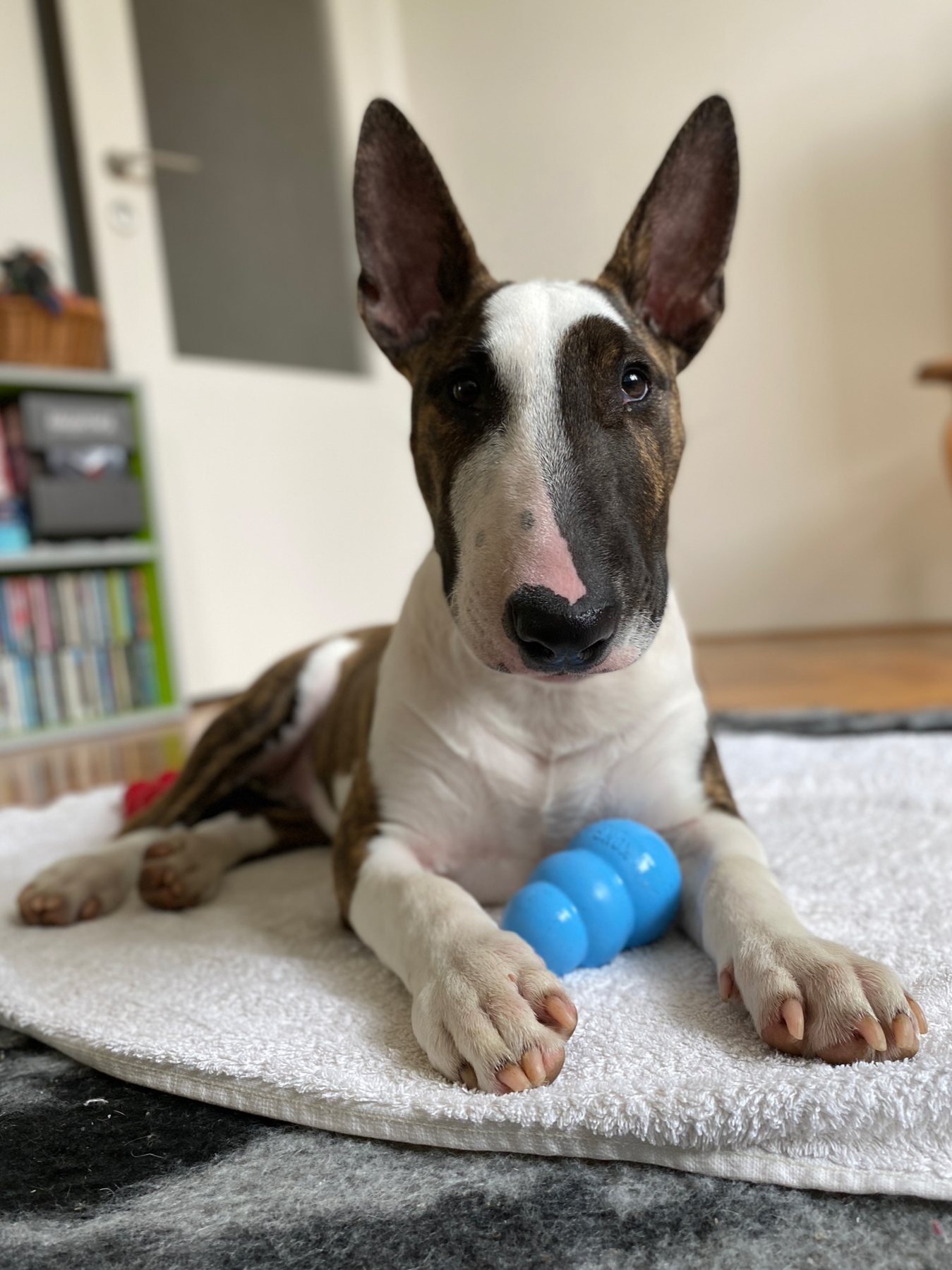 Blue Ball Business
