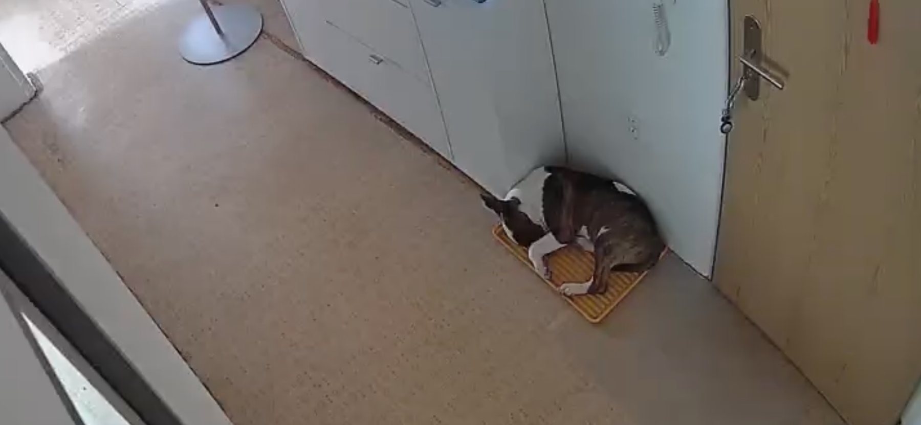 Secret Corner
