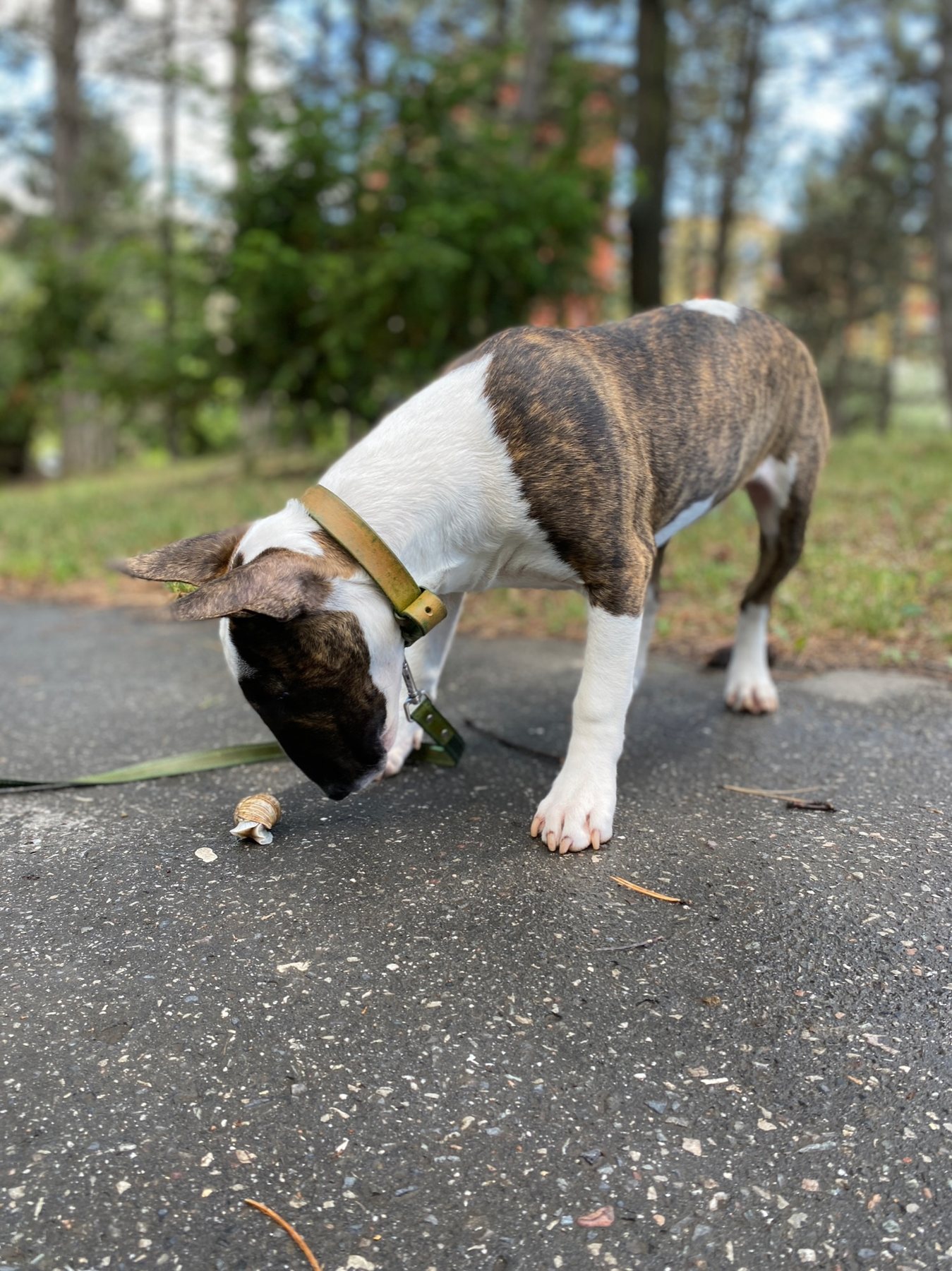Serious Sniffing