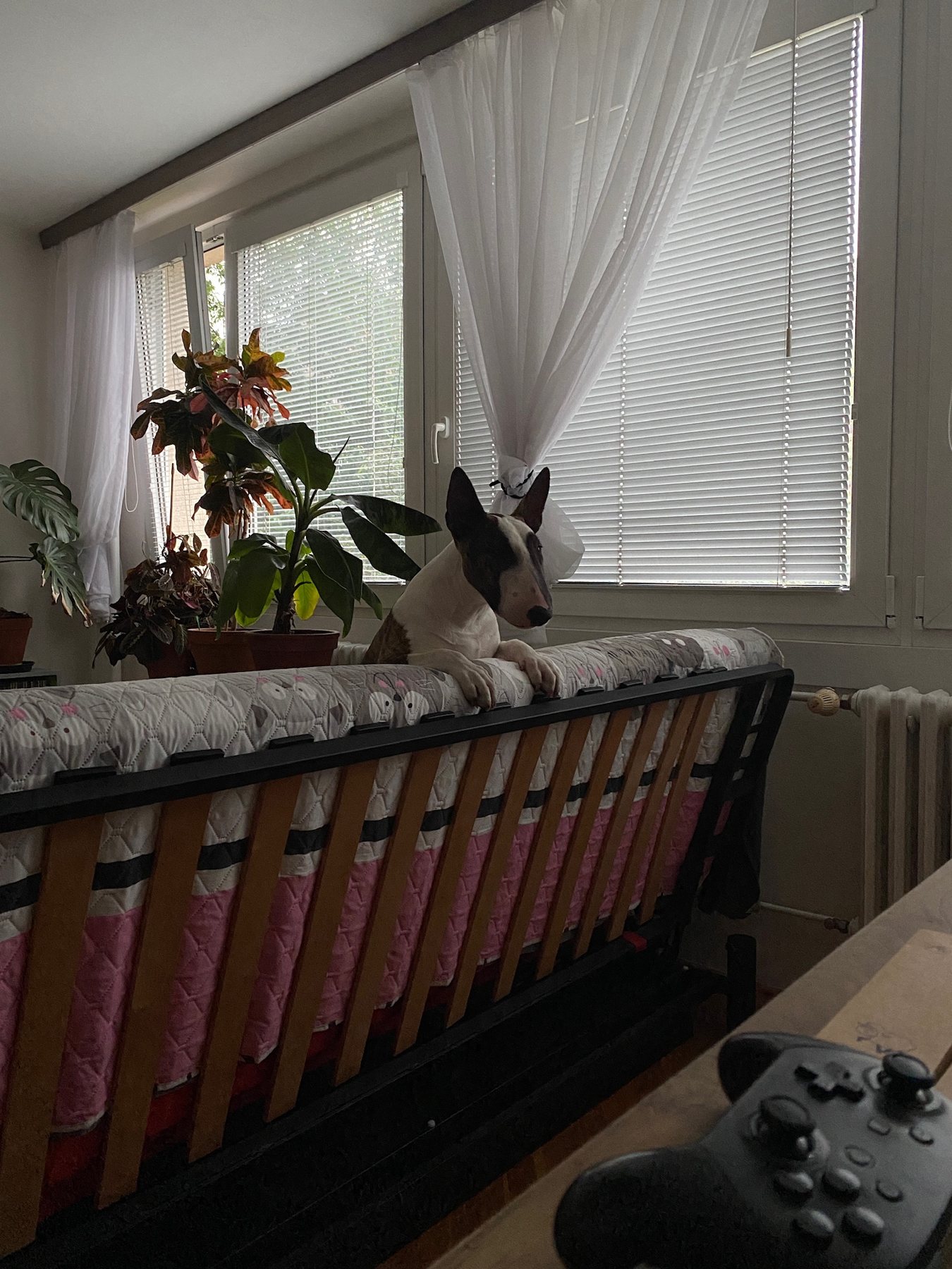 Window Watch