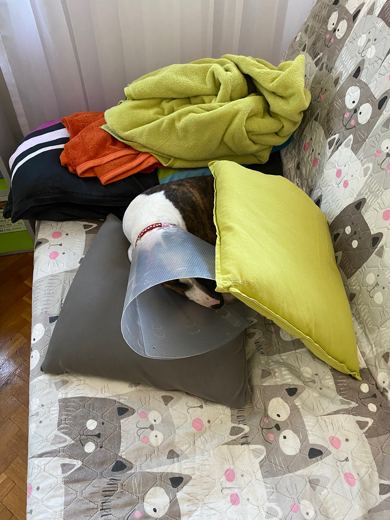 Pillow Fortress