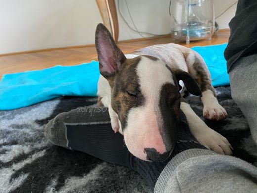 Recovery mode