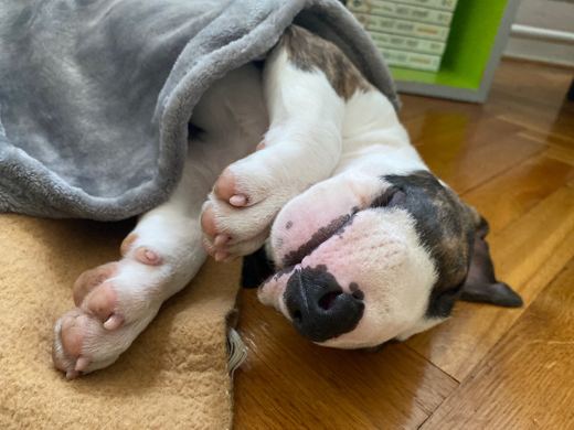 Sleep overload
