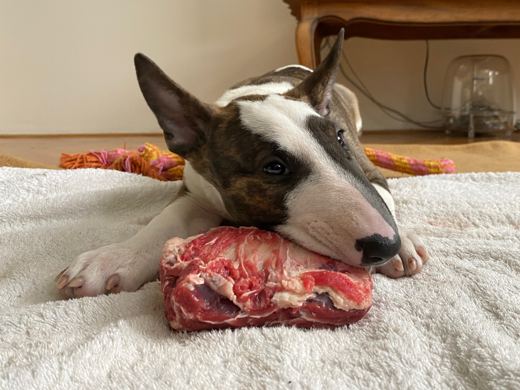 Raw instinct