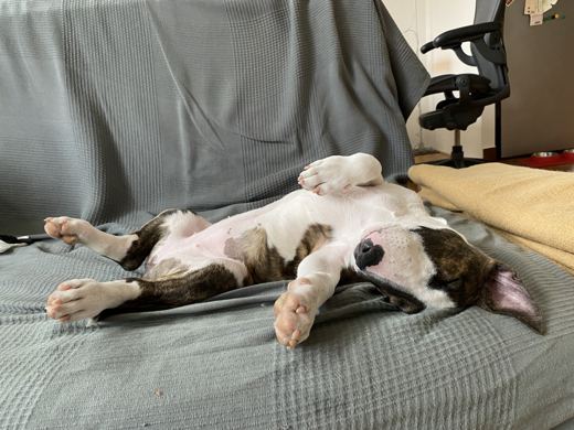 Advanced Sofa Acrobatics