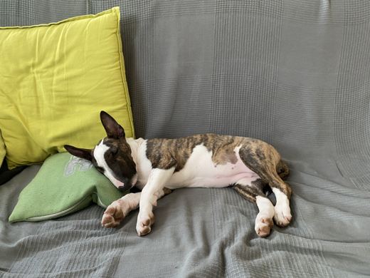 Sofa Siesta