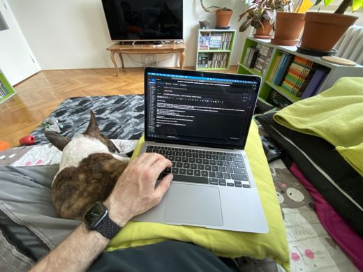 Code Review Assistant