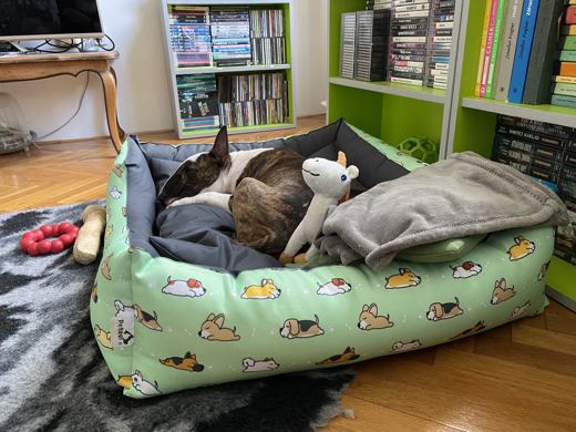 Bed Full of Trouble