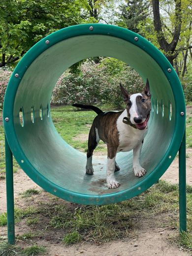Tunnel Vision