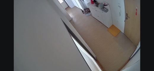 Home Alone