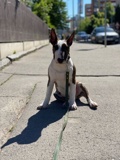 Sunny Sidewalk