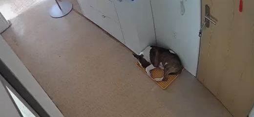 Secret Corner