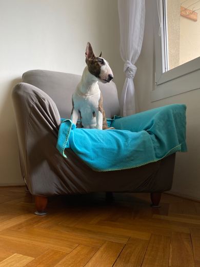 Chair with a View