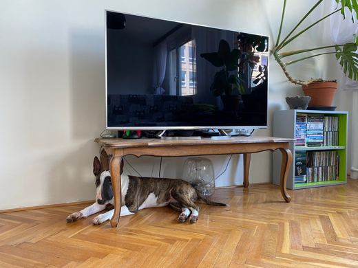 Under the Television